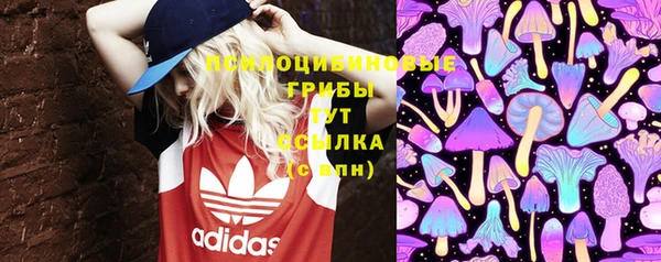 молекула духа Нягань