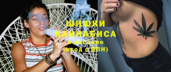 индика Нязепетровск