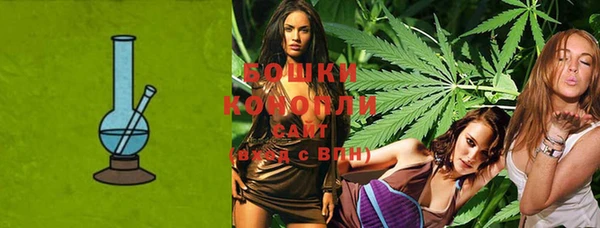 молекула духа Нягань