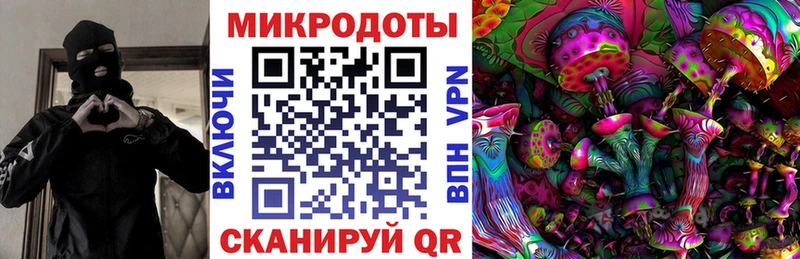 Псилоцибиновые грибы мицелий  Купить закладки  Циолковский 