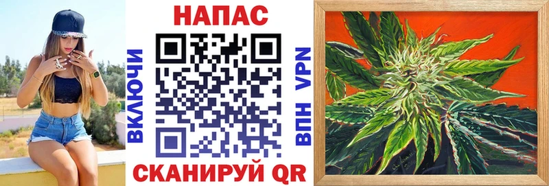 Шишки марихуана Bruce Banner  Купить закладки  Циолковский 